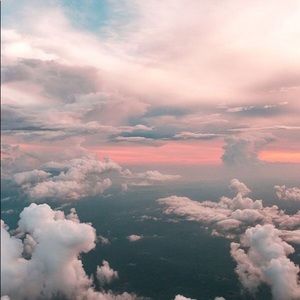 Meet your Posher, Angelima